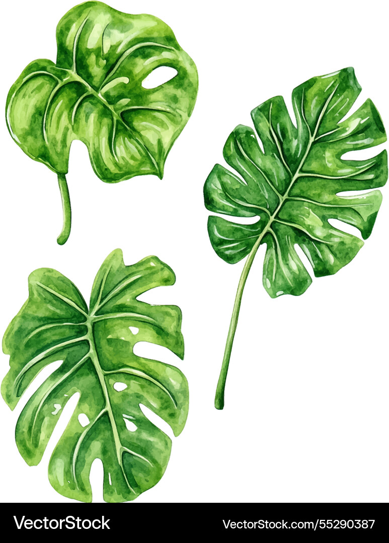 A set of green leaves including large leaf A set of green leaves including large leaf vector image