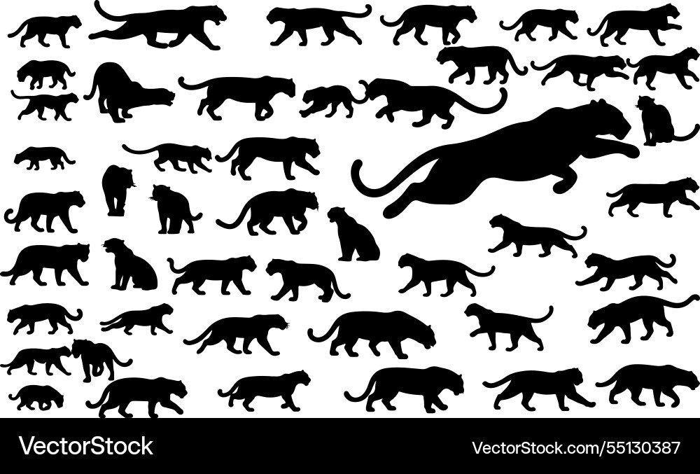 Elegant jaguar silhouettes collection premium vec Vector Image