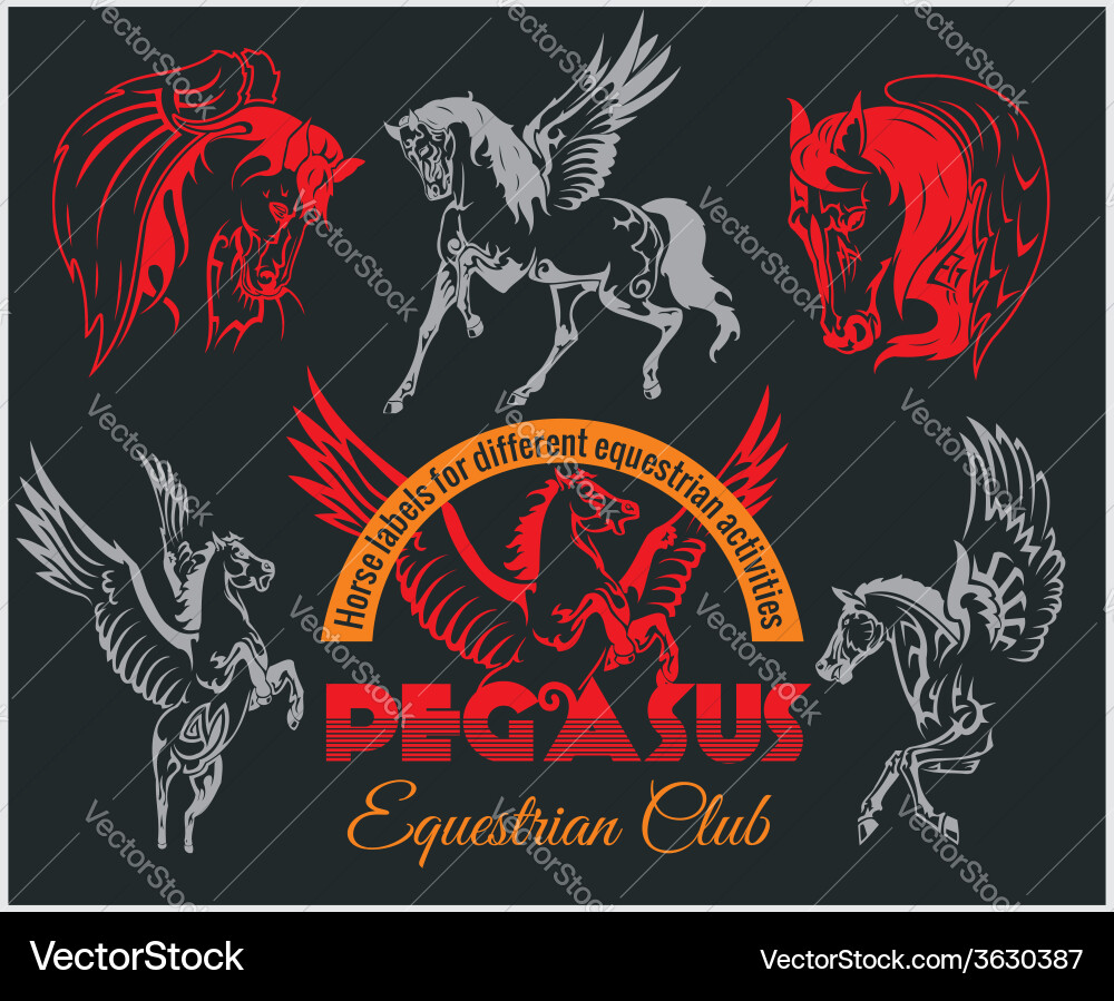 Equestrian Pegasuses & Horse Labels Vector Image