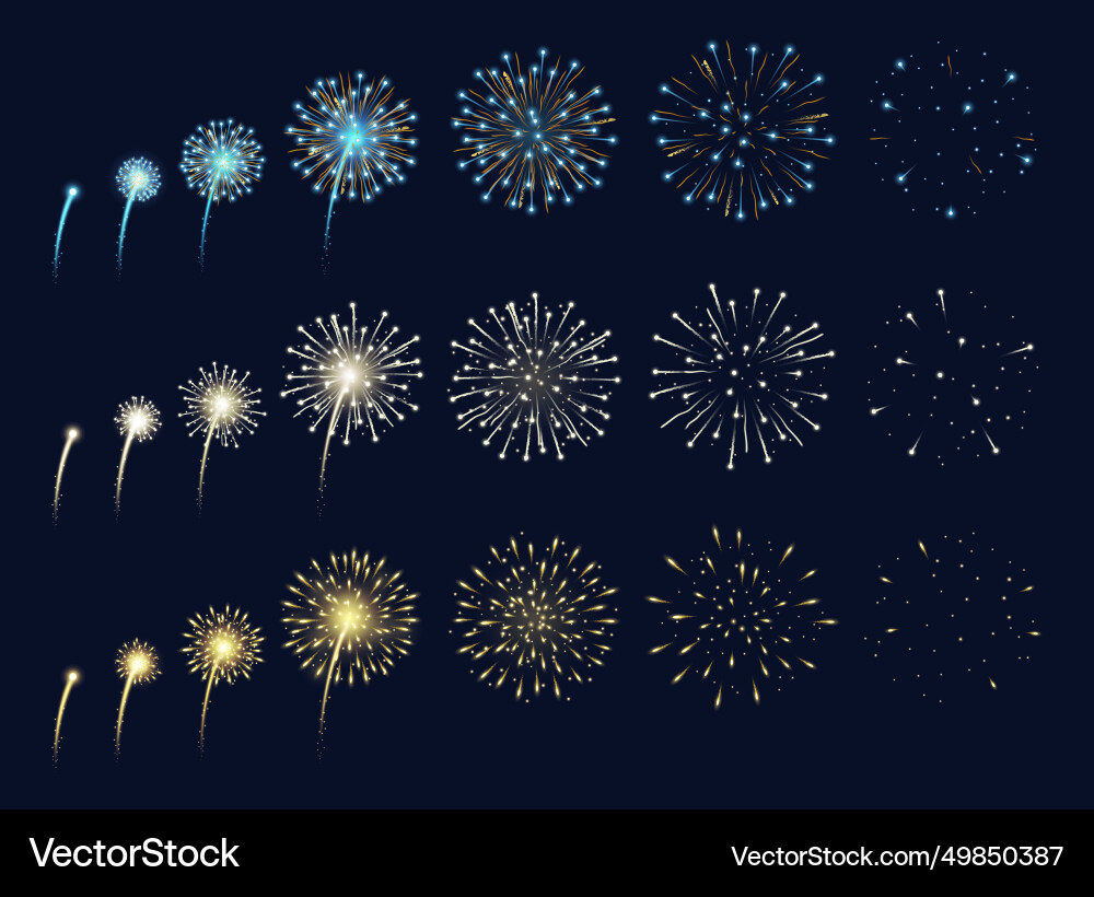 Spectacular Fireworks Display vector image