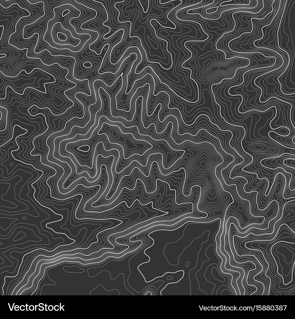 Topographic map background with space for copy vector image
