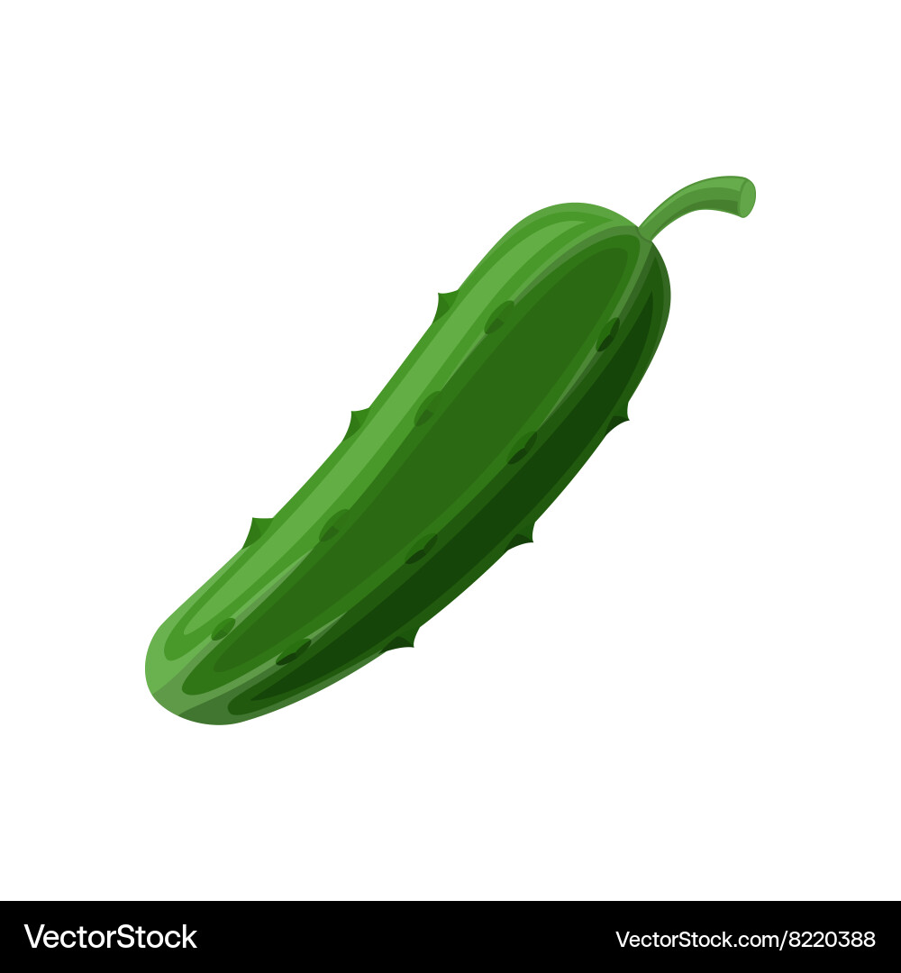 Isolated Cucumber Icon vector image