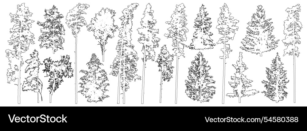 Set of coniferous and deciduous trees Set of coniferous and deciduous trees vector image