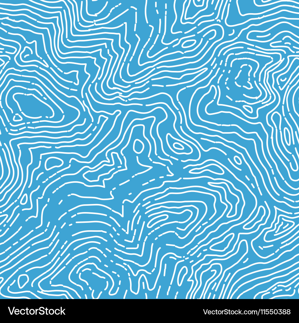 Topographic Contour Map Pattern vector image