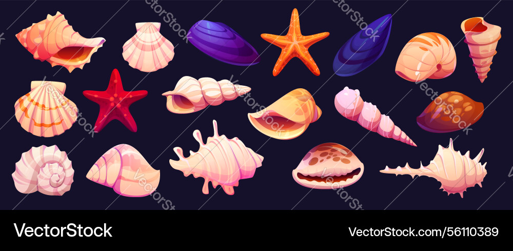 Cartoon seashells mussels starfish and shellfish Cartoon seashells mussels starfish and shellfish vector image