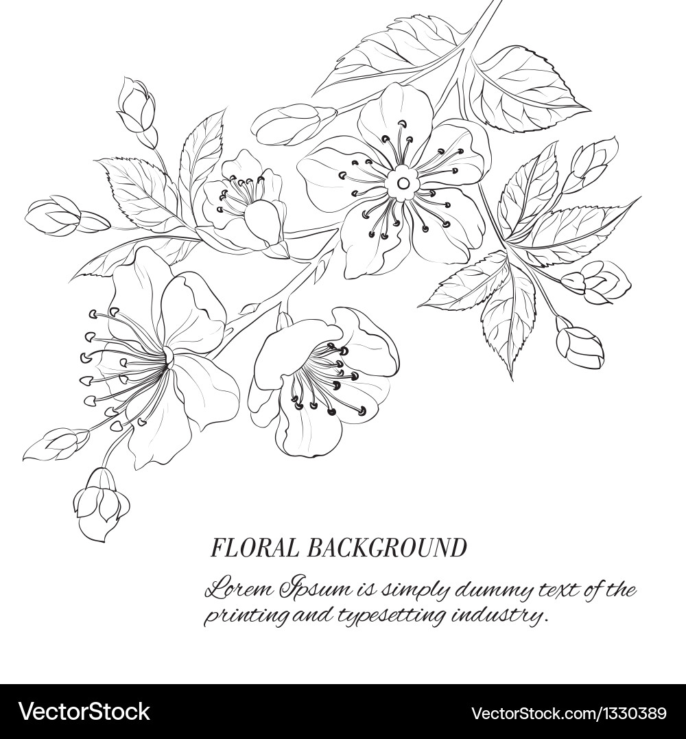 Sakura Blossom Spring Vector Image