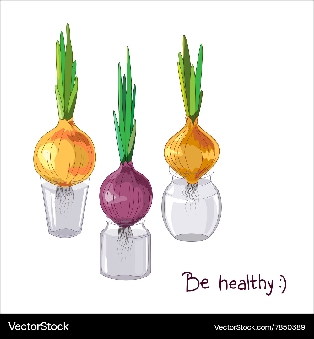 Spring onion set vector image
