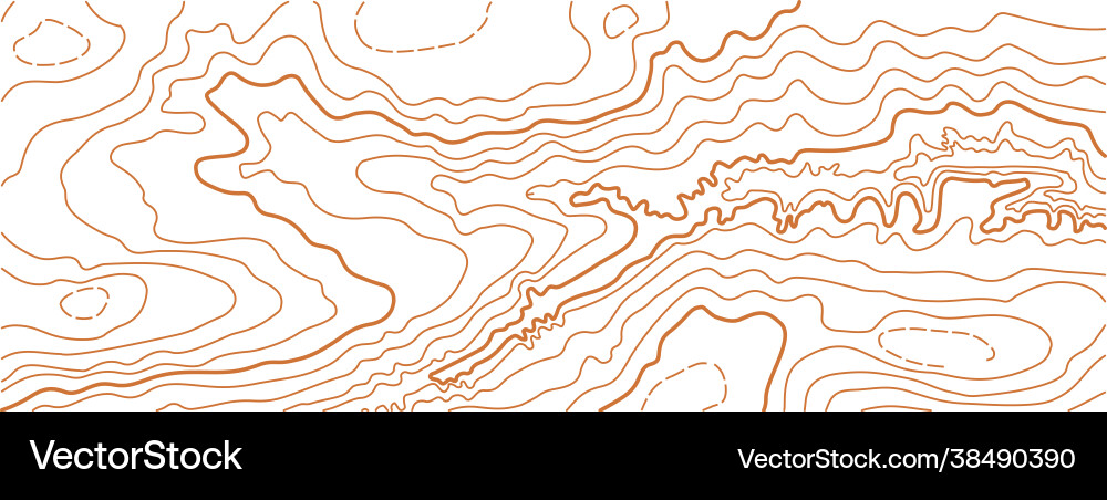 Abstract Topographic Map Vector Image
