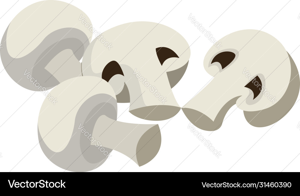 White champignon on background Vector Image