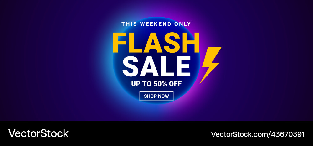 Flash sale banner offer promo sticker template Flash sale banner offer promo sticker template vector image