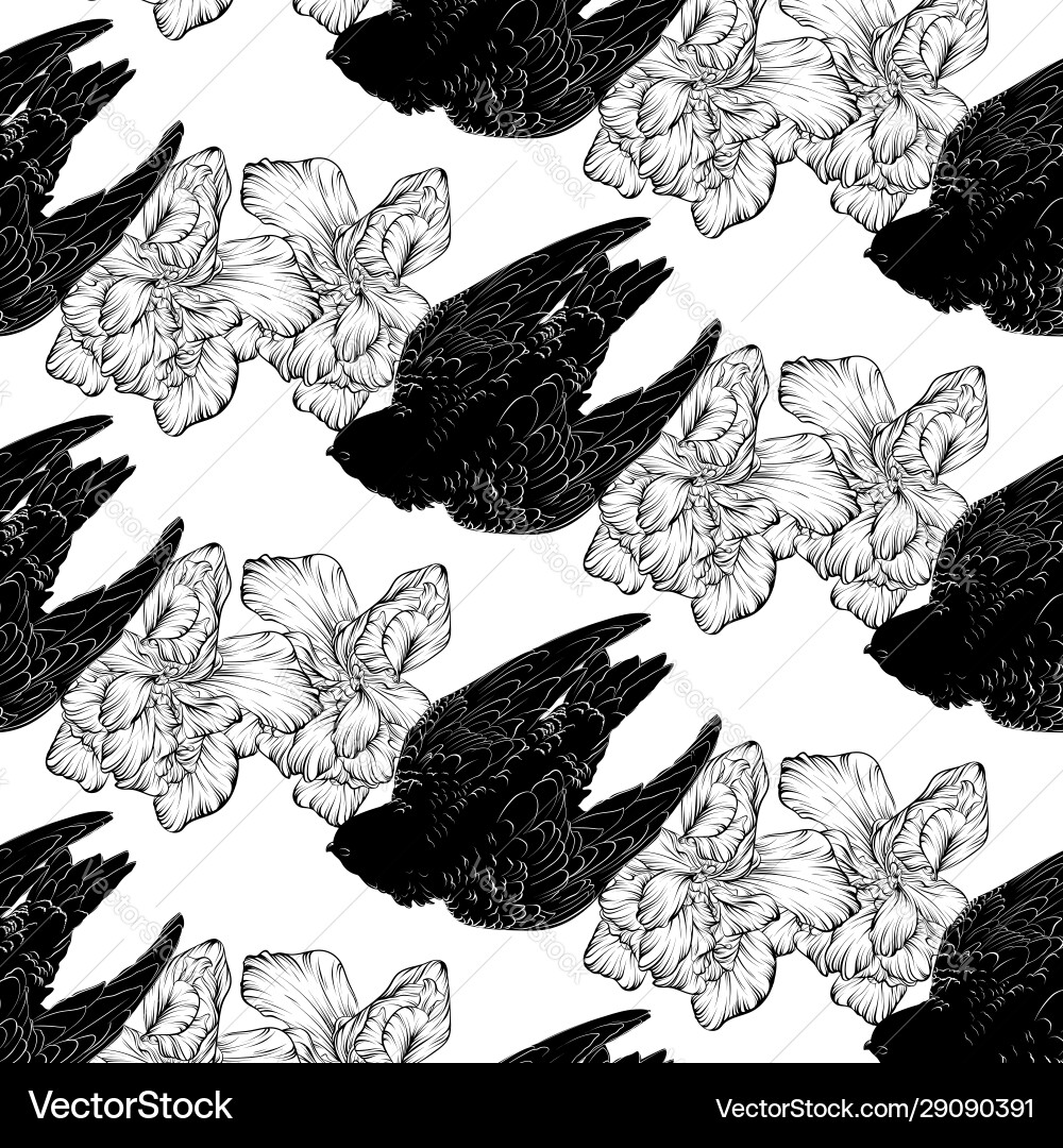 Pattern with hand drawn swift vector image