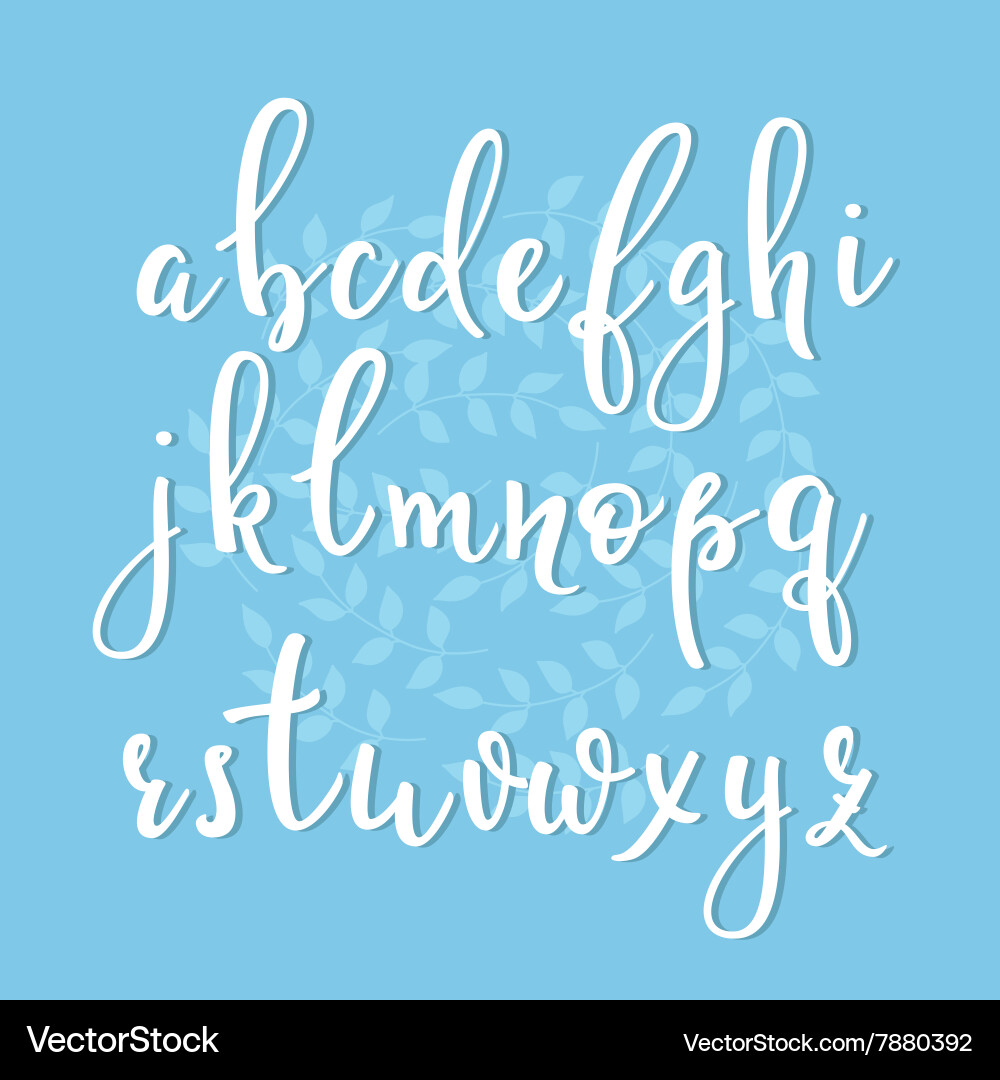 Elegant Calligraphic Script Font vector image