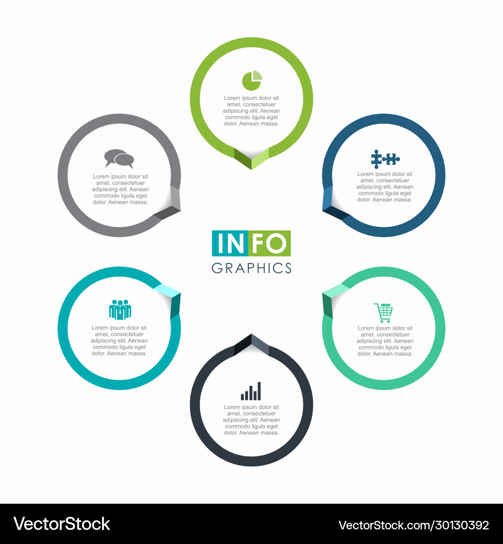 Infographic Template with Circular Elements vector image