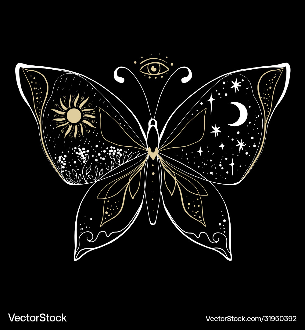 Magic medieval sun and moon on butterfly tattoo Magic medieval sun and moon on butterfly tattoo vector image