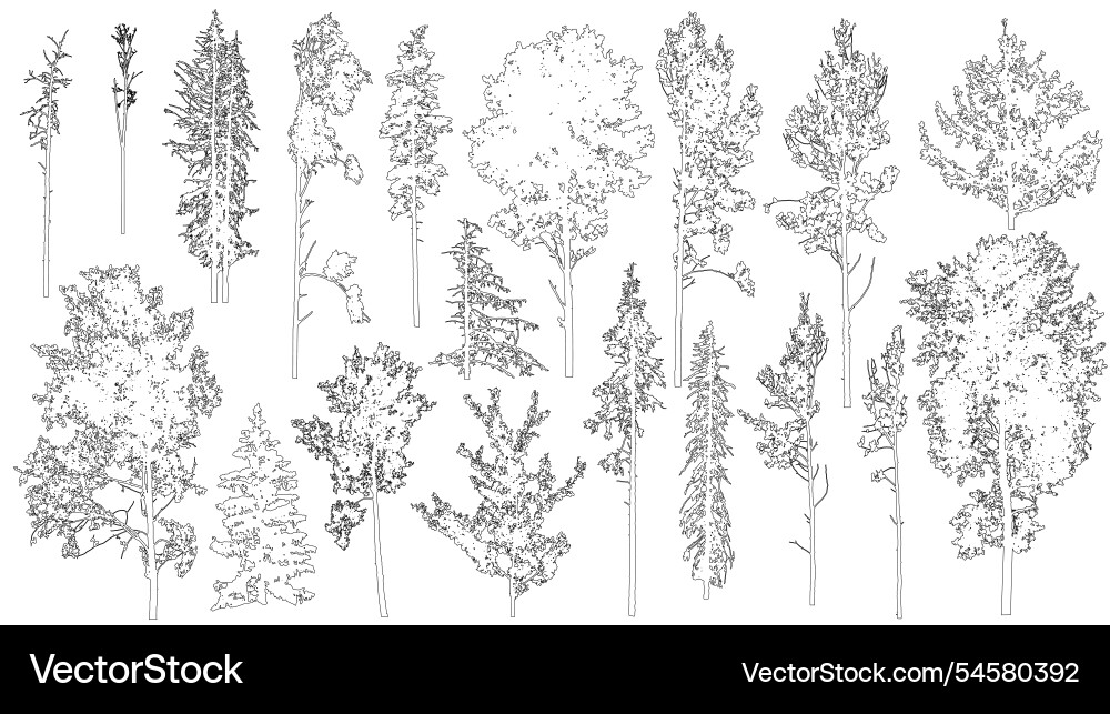 Set of coniferous and deciduous trees Set of coniferous and deciduous trees vector image