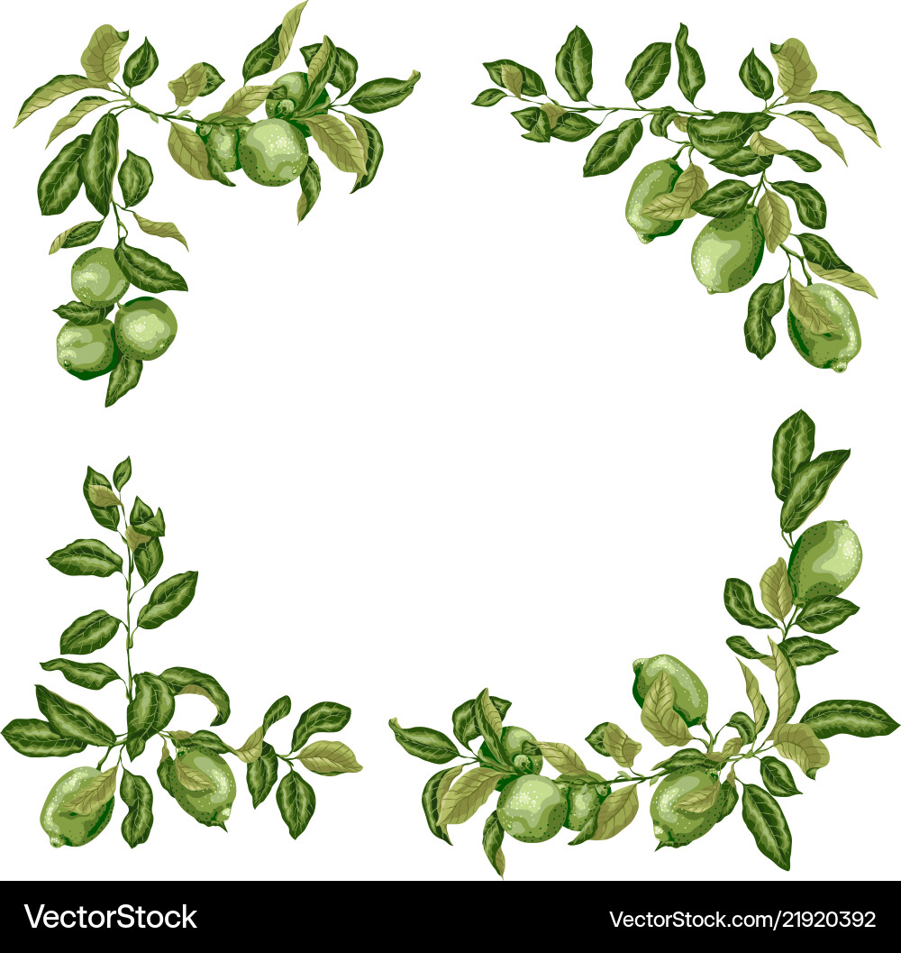 Square frame with lime and lemon branches Square frame with lime and lemon branches vector image