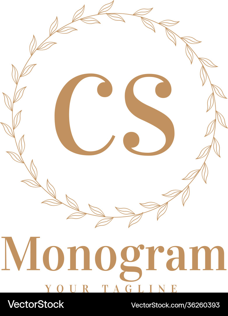 Cs initial a logo design with feminine style Cs initial a logo design with feminine style vector image