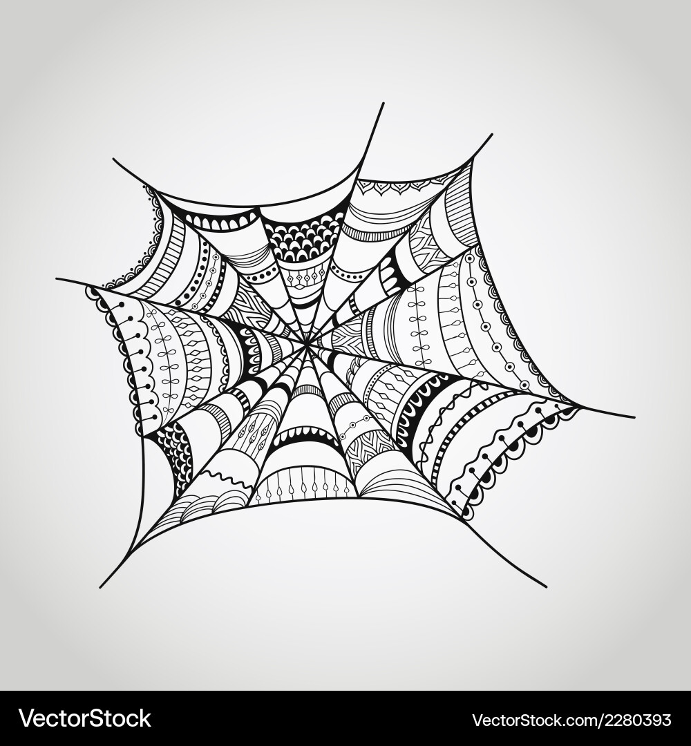 Intricate Spiderweb Pattern vector image