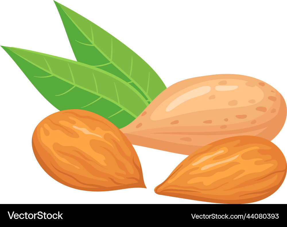 Mandel Cartoon Ikone superfood vegan food Mandel Cartoon Ikone superfood vegan food vektorbild