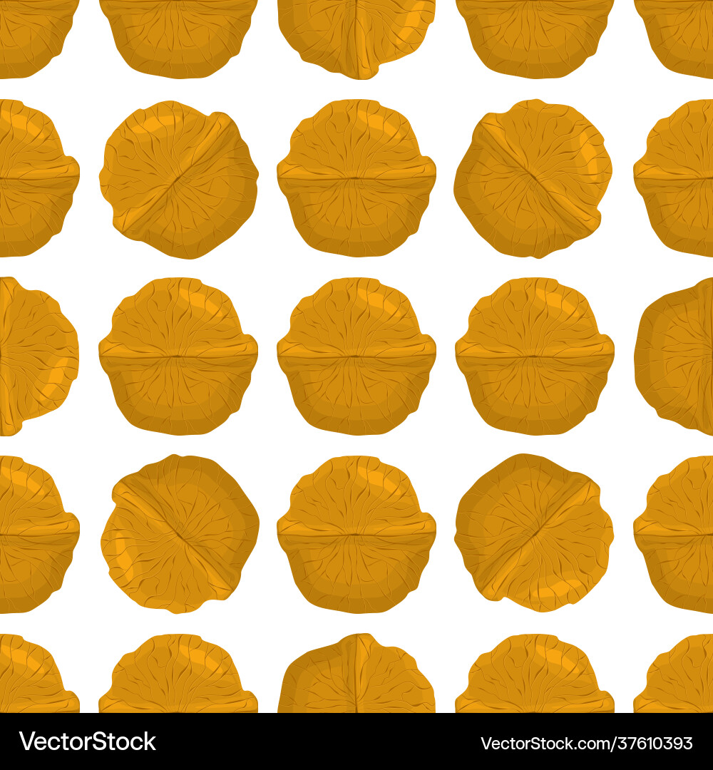 On theme big pattern identical types walnut Vector Image