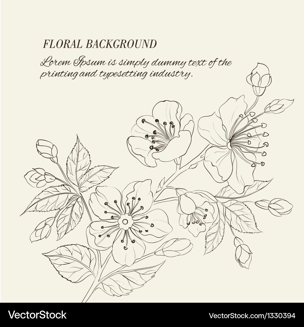 Sakura Blossom Spring Vector Image