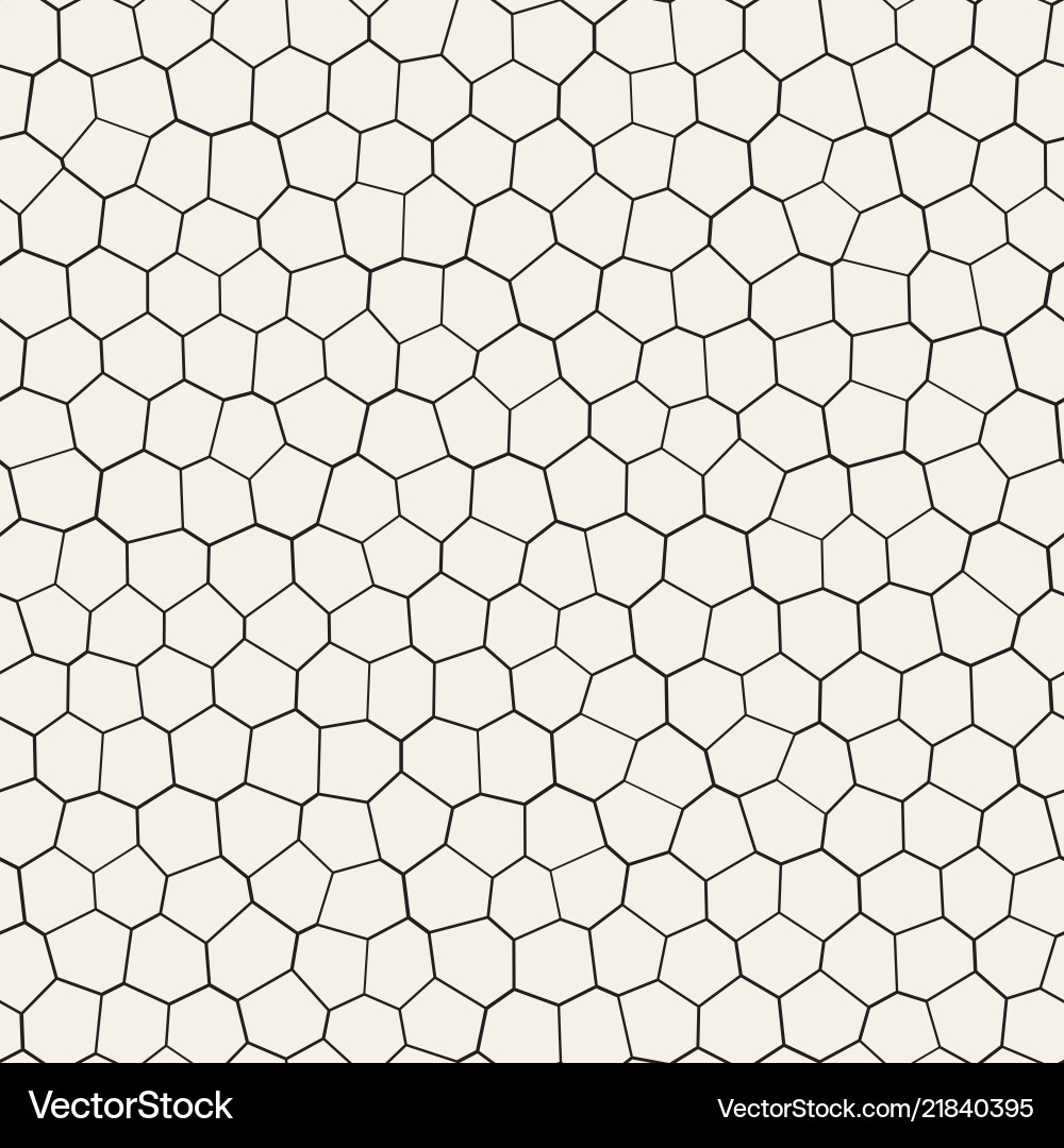 Irregular Mosaic Pattern vector image