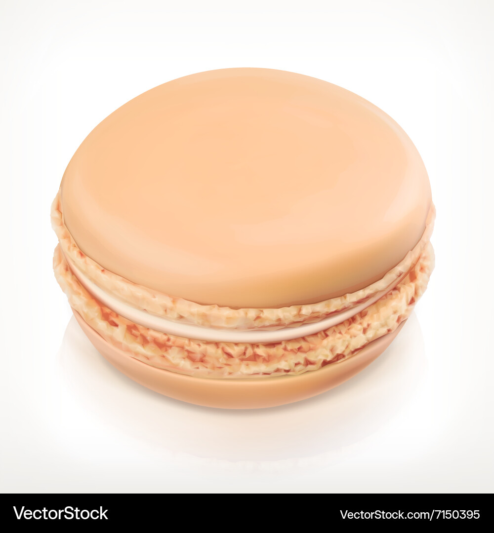 Macaron Icon - Pastel Colors Vector Image