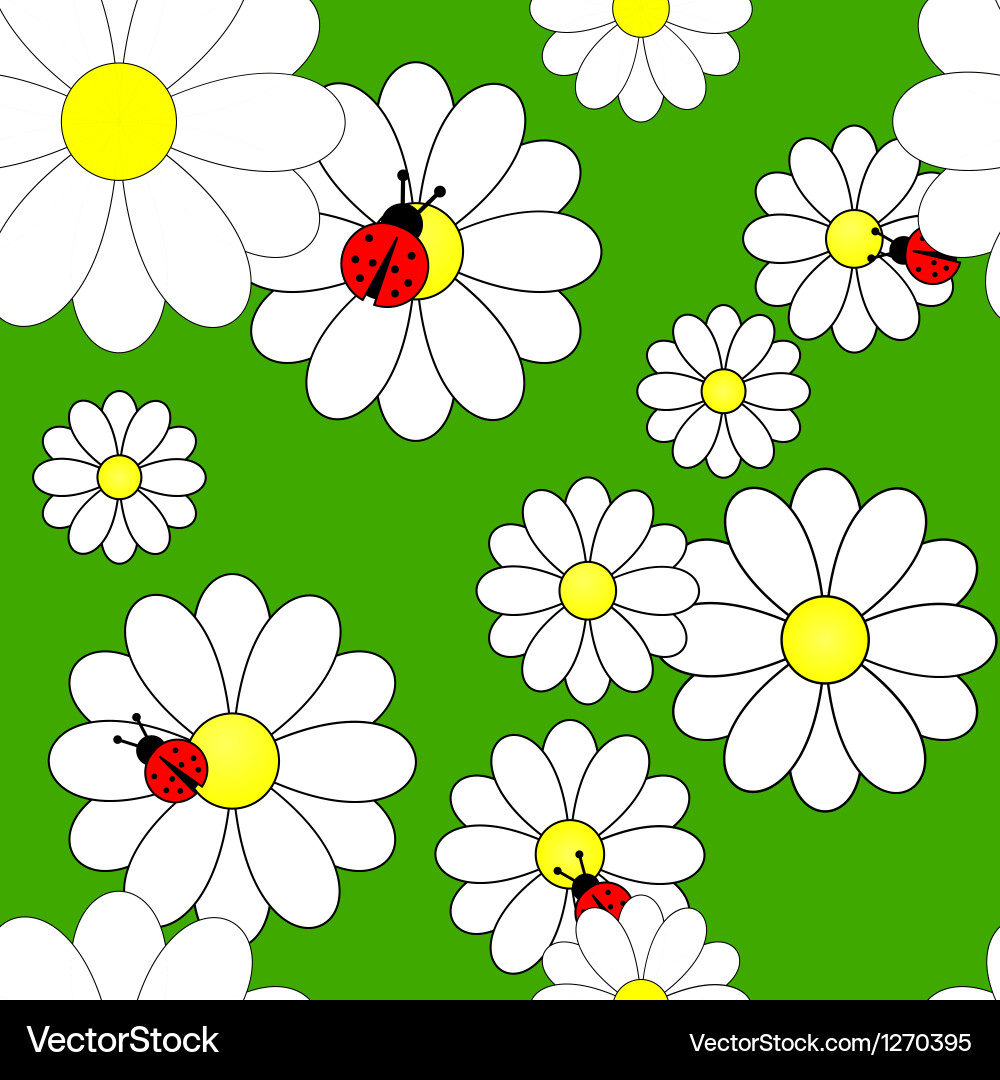 Seamless pattern with camomiles vector image