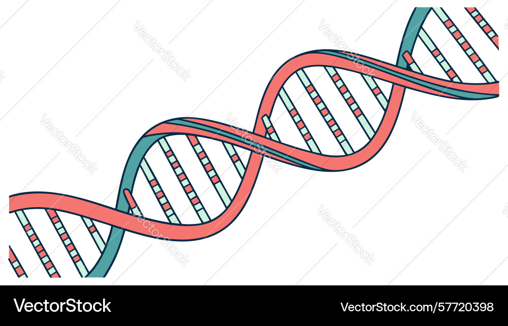 Dna double helix structure design generative ai vector image