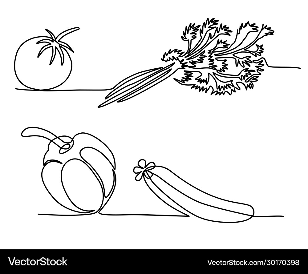 Gemüse Pfeffer Tomaten Gurke Dill Petersilie Gemüse Pfeffer Tomaten Gurke Dill Petersilie vektorbild