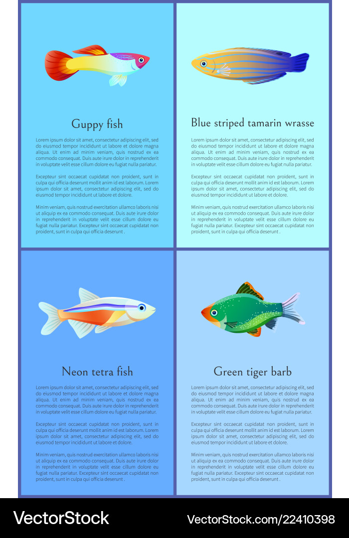 Ocean and sea fishes isolated on color backdrops Ocean and sea fishes isolated on color backdrops vector image