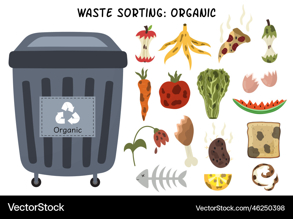 Organic garbage sorting set grey trash can Vector Image