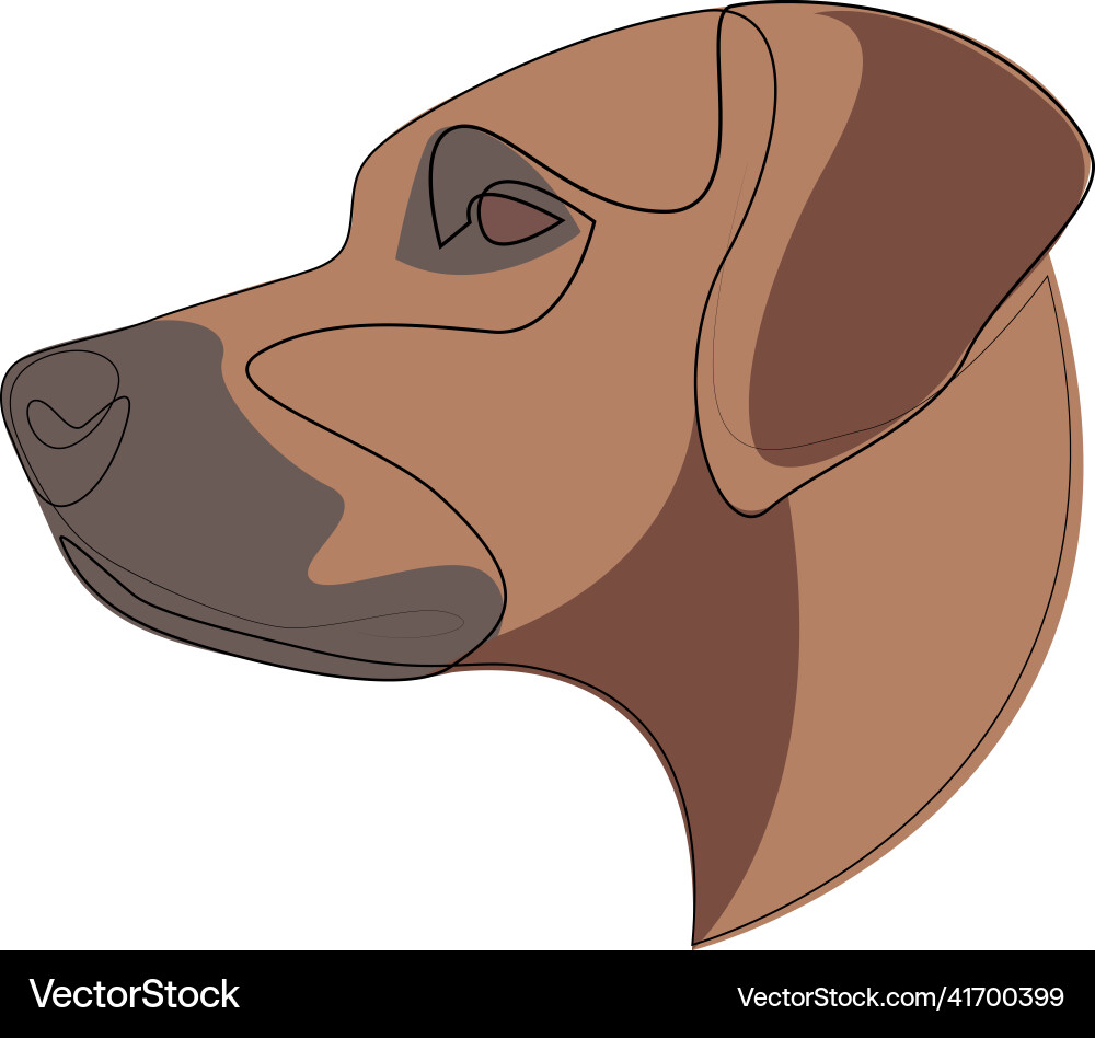 Continuous line rhodesian ridgeback single Vector Image