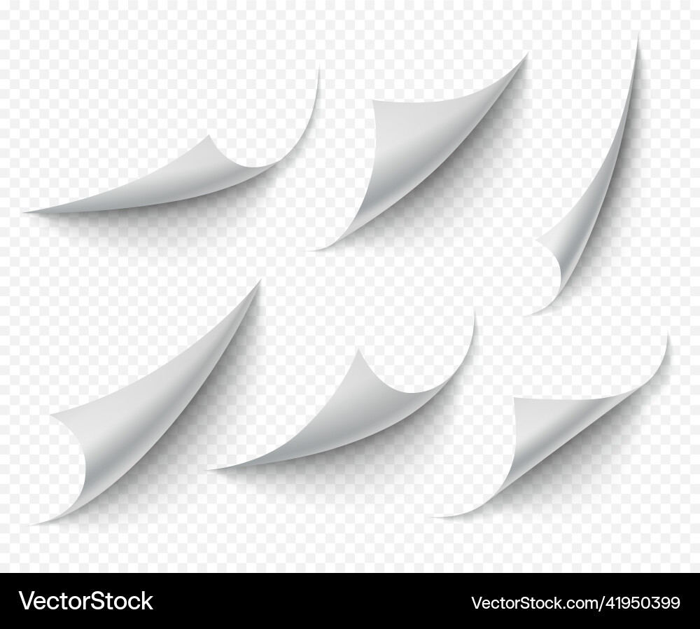 Curled corners white transparent empty curve Curled corners white transparent empty curve vector image