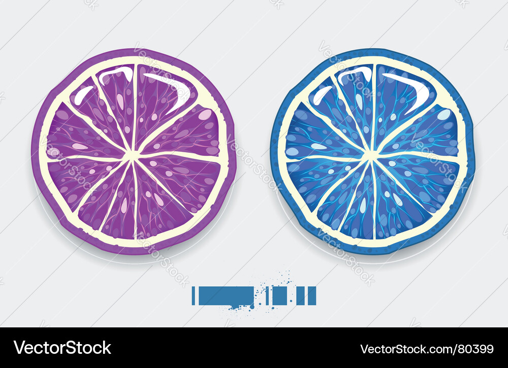 Lime Slice Close-Up Vector Image