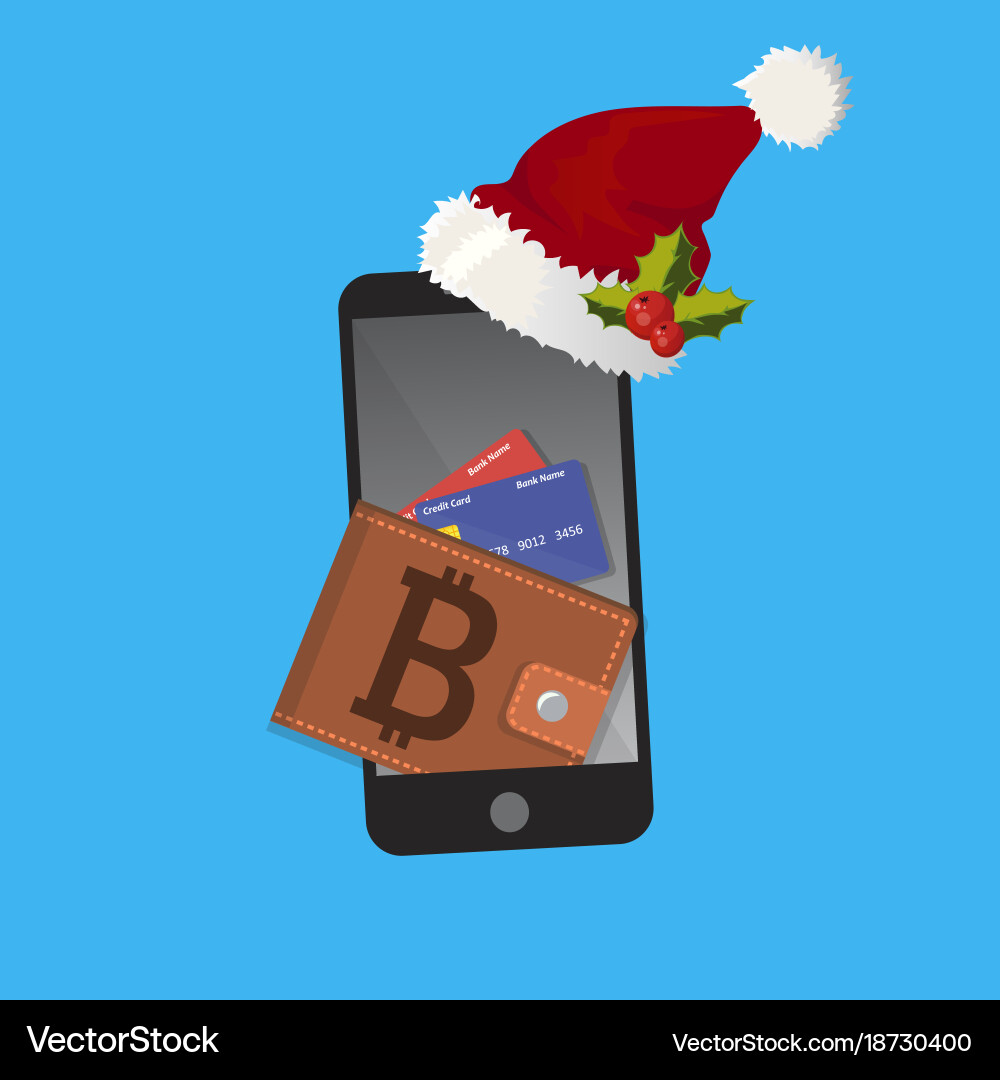 Digital bitcoin mobile wallet Vector Image
