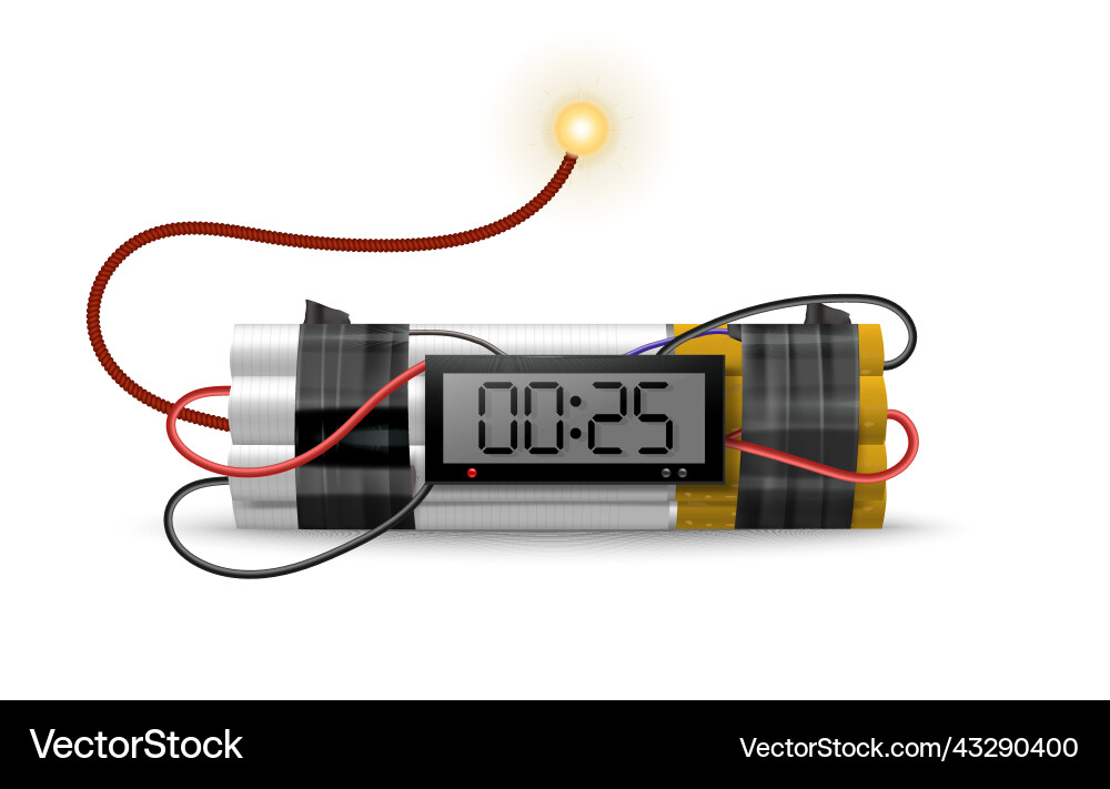 Dynamite timer bomb composition Dynamite timer bomb composition vector image