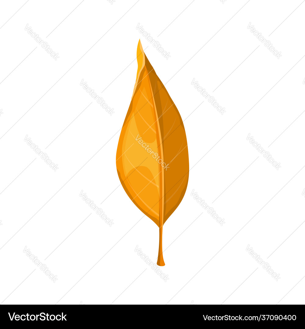 Herbstblatt gelb Herbst isoliert orange Blätter Vektorbild