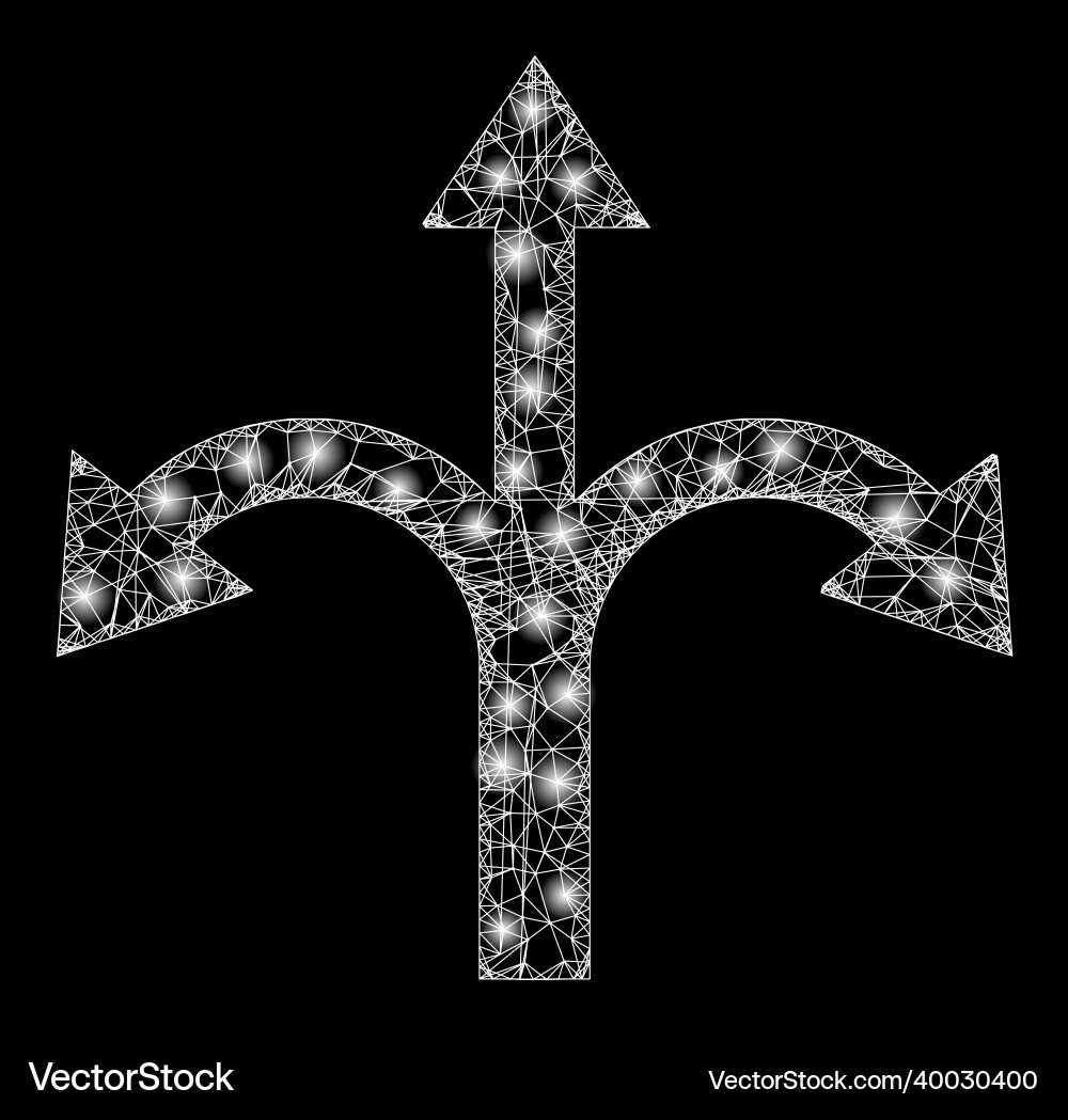 Shiny net mesh triple bifurcation arrow vector image