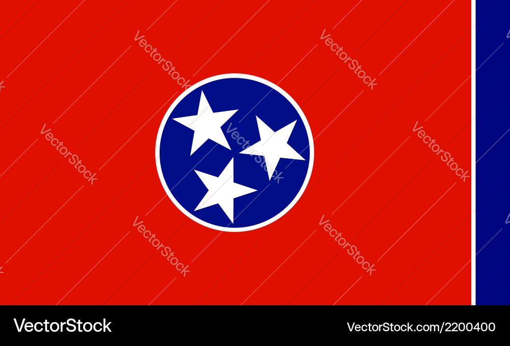 Tennessee State Flag Vector Image
