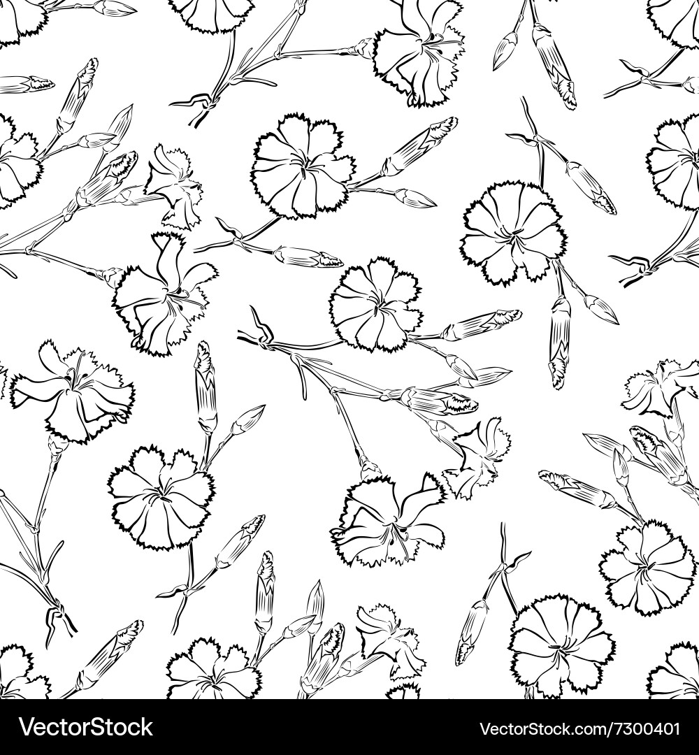 Carnation Floral Seamless Pattern vector image