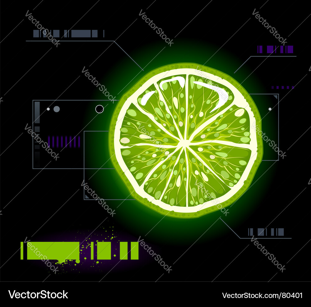 Fresh Lemon Slice on White Background Vector Image