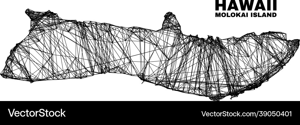 Network irregular mesh molokai island map Vector Image