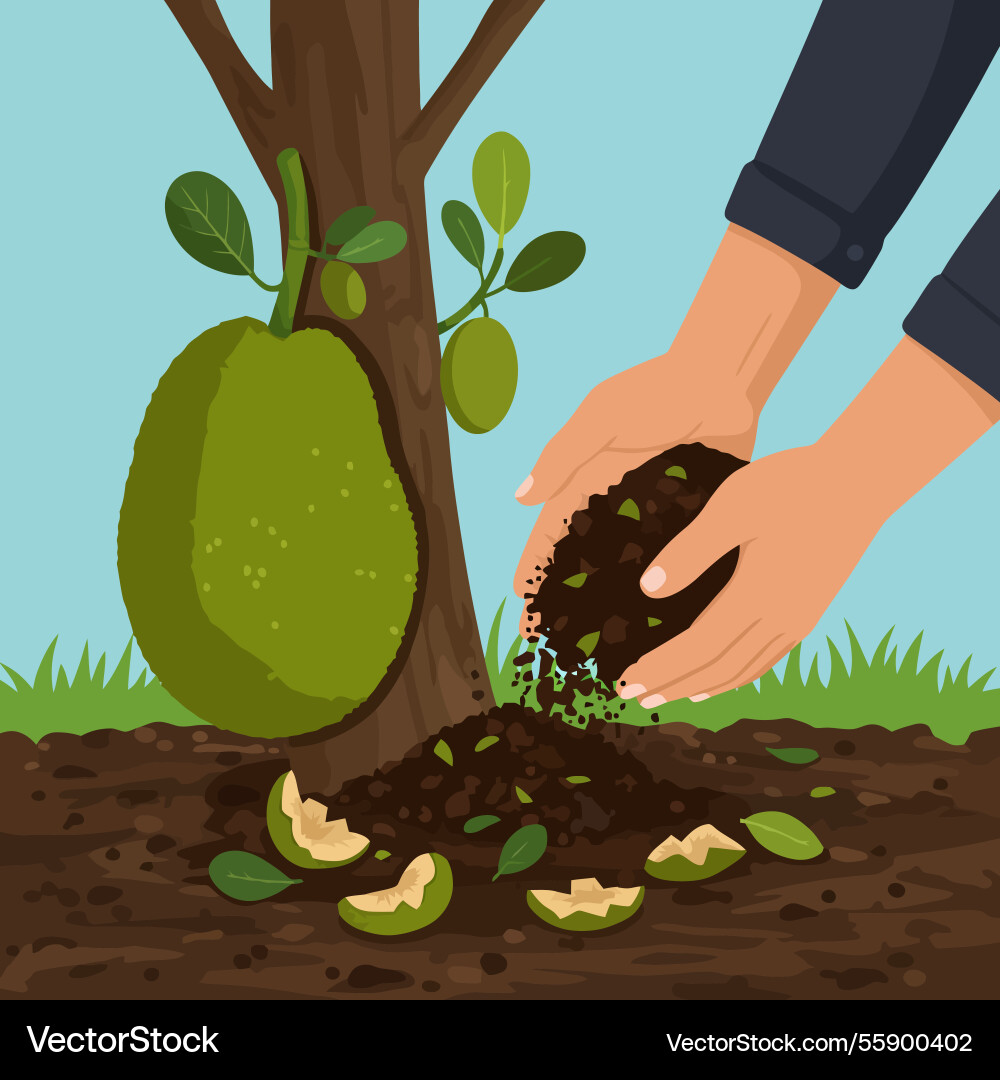 Hands adding compost to tree in garden Hands adding compost to tree in garden vector image
