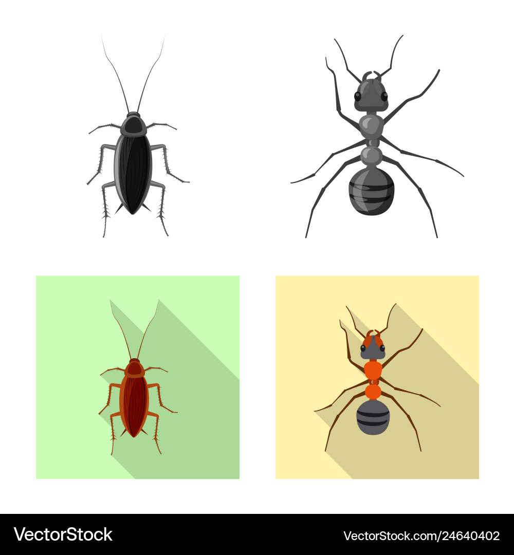 Isolated object of insect and fly symbol set vector image