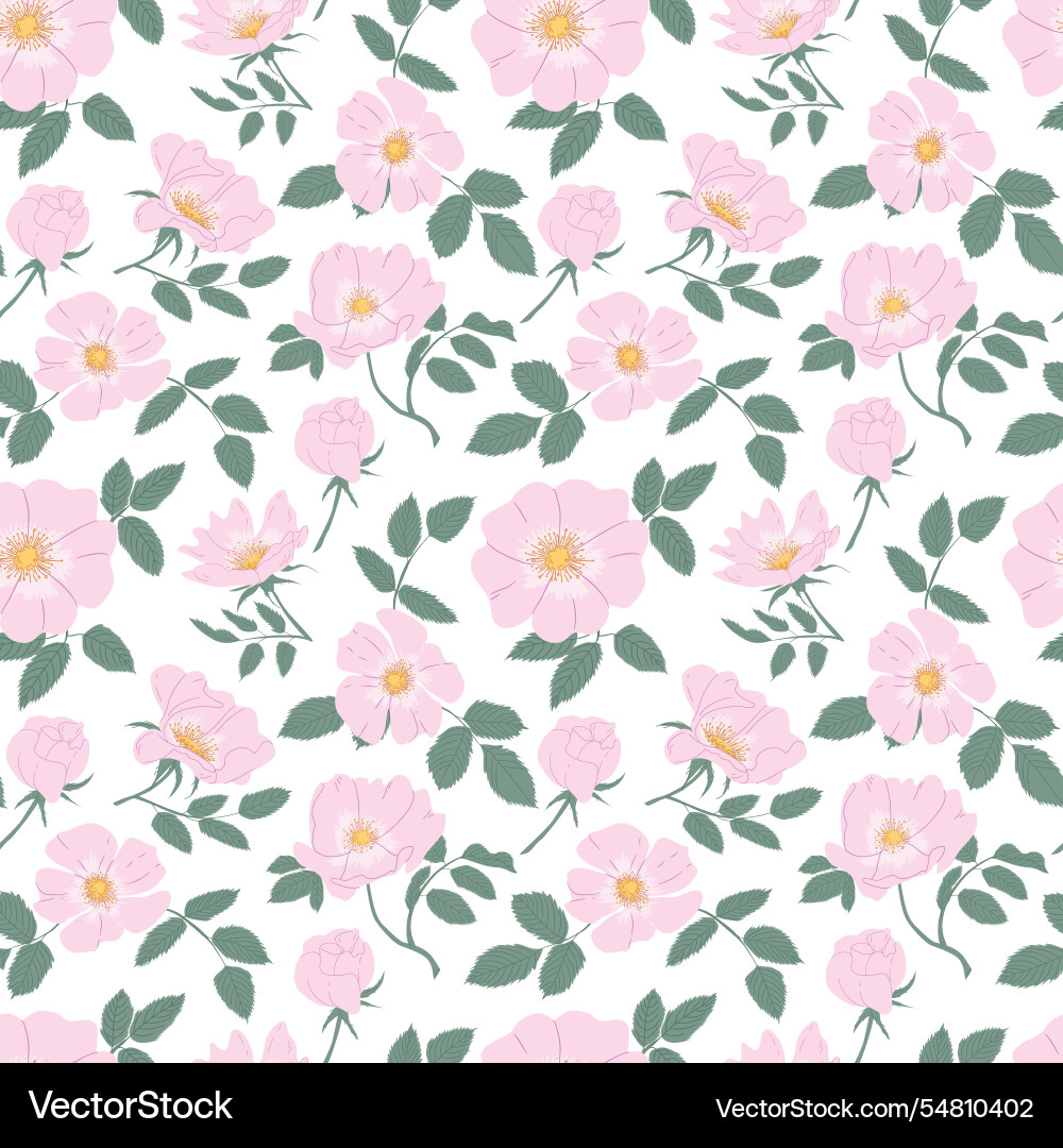Seamless pattern with rosehip groves pink rose Seamless pattern with rosehip groves pink rose vector image