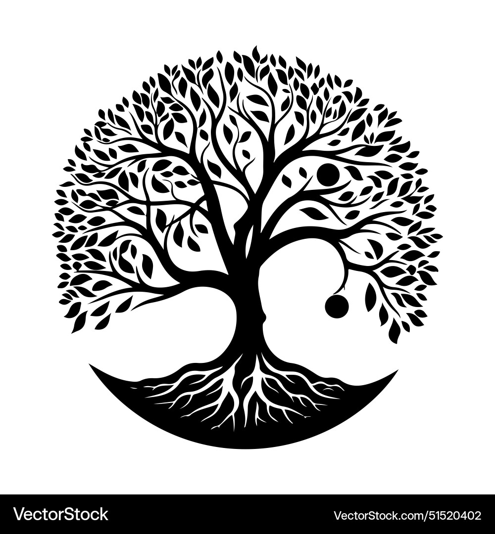 Tree of life logo black and white Tree of life logo black and white vector image