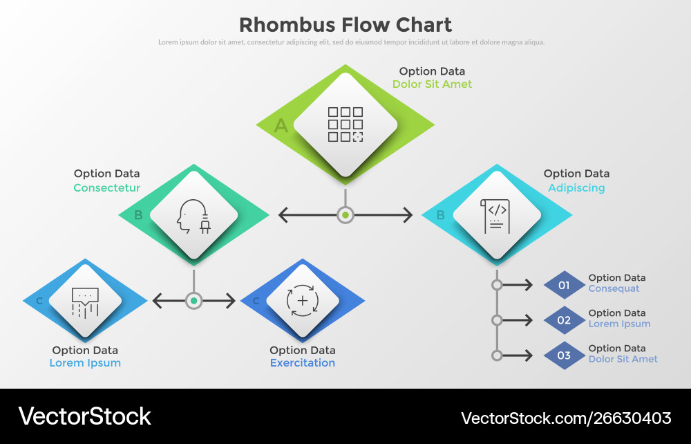 Flowchart with Rhombus Elements vector image