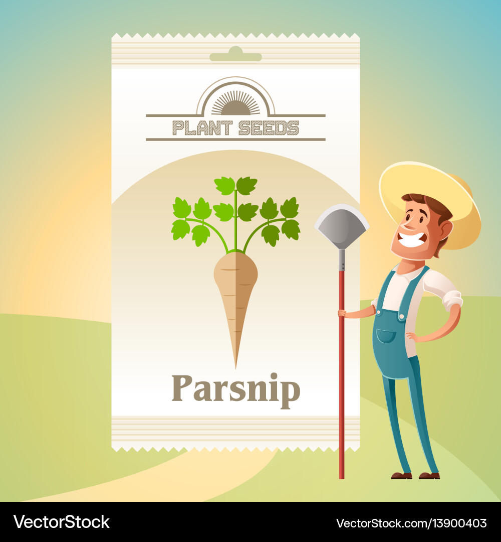 Pack of parsnip seeds icon Pack of parsnip seeds icon vector image