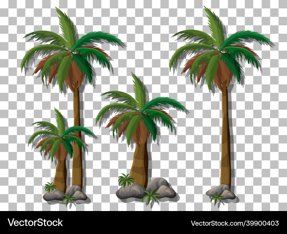Palm trees on transparent background Vector Image